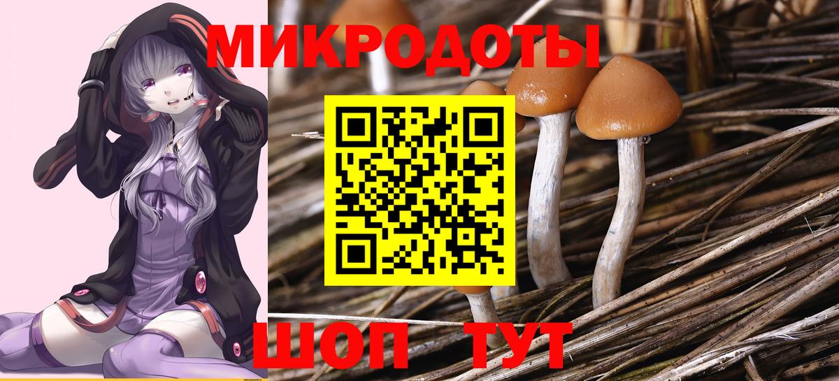 Псилоцибиновые грибы MAGIC MUSHROOMS Верхняя Пышма
