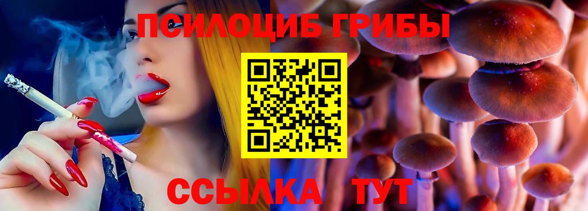 Псилоцибиновые грибы Magic Shrooms  Вход с VPN  Верхняя Пышма 
